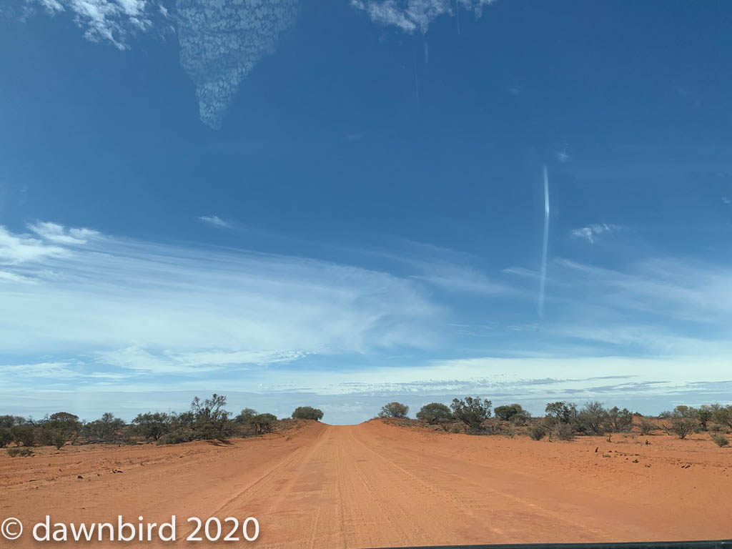 UNADJUSTEDNONRAW_thumb_1a20