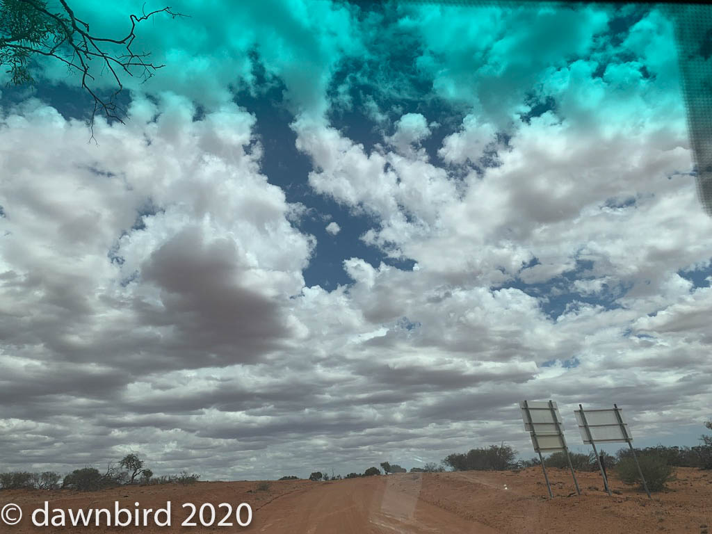 UNADJUSTEDNONRAW_thumb_1a3a