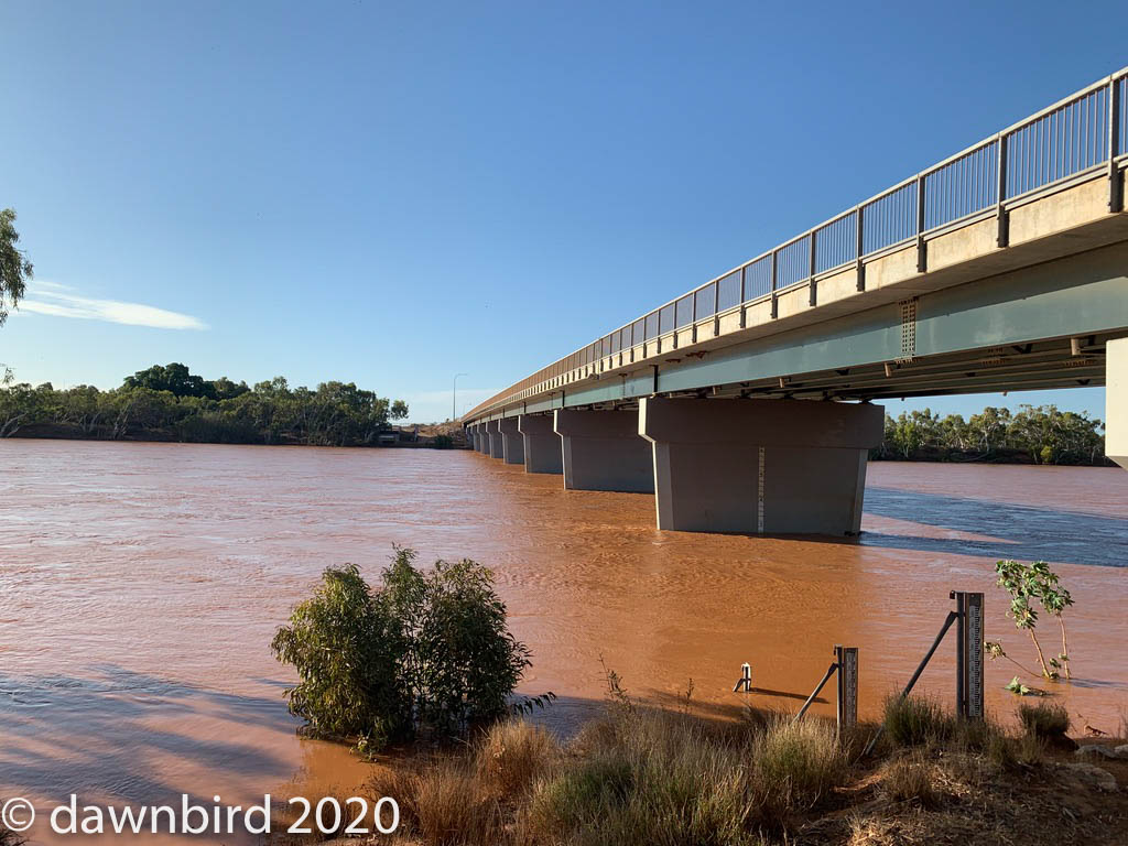 UNADJUSTEDNONRAW_thumb_1a3d