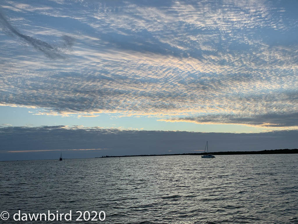 UNADJUSTEDNONRAW_thumb_1a41