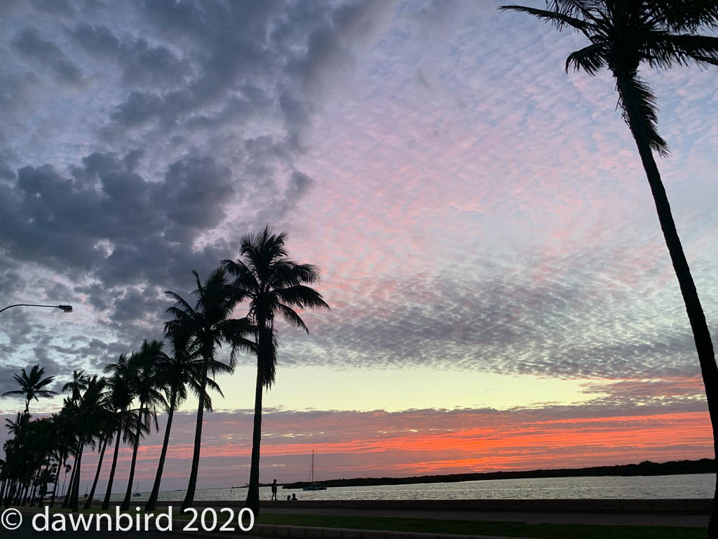 UNADJUSTEDNONRAW_thumb_1a45