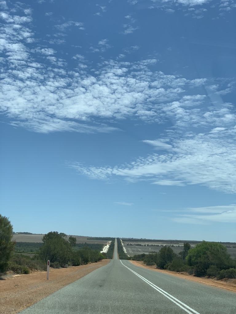 UNADJUSTEDNONRAW_thumb_19bc